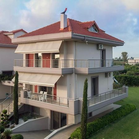 "Aeolos" Luxury Villa Preveza Exteriör bild